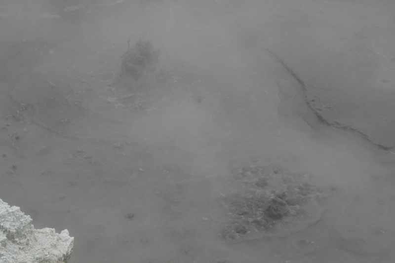 Nieuw-Zeeland 2011 - 0593